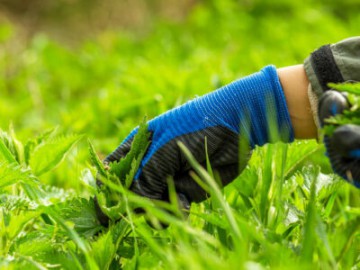 Green Jobs: cosa sono e perché sono i lavori del futuro